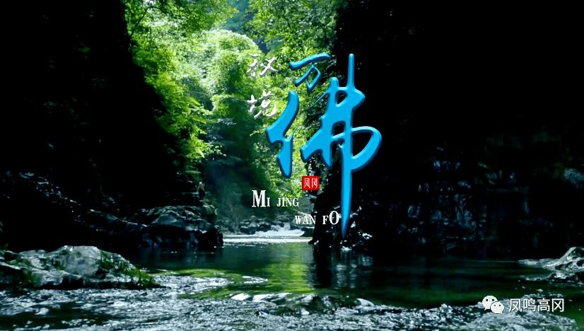 《陈乔恩:追求坚定、温暖、进取,展现女神之路!》